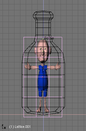 Scale the lattice to fit the bottle.