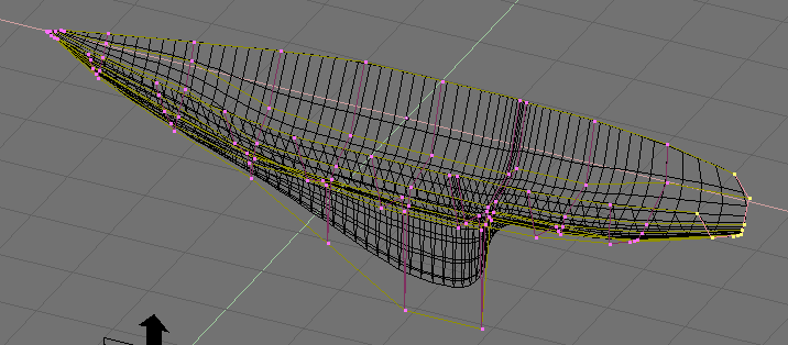 Skinned surface in edit mode.