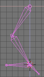 A (wrong) leg rig.