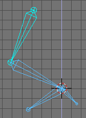 The rig in pose mode.