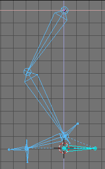 Full complete leg rig.