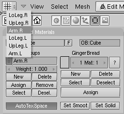 The menu with the vertex groups automatically created in the skinning process.